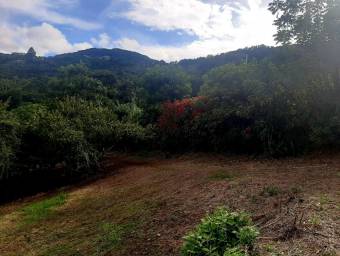 Venta de Lote en Escazú-San Antonio. RAH 25-1136