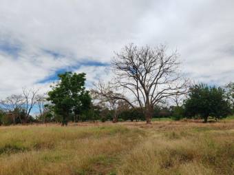 MLS-25-1444 LS VENTA FINCA DESAMPARADOS ALAJUELA CONTACTENOS AL # 86127562