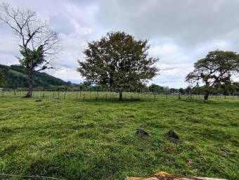 Venta de Casa en Pococí-Guápiles. 