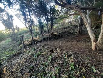 Venta de Lote en Santo Domingo-San Miguel. 