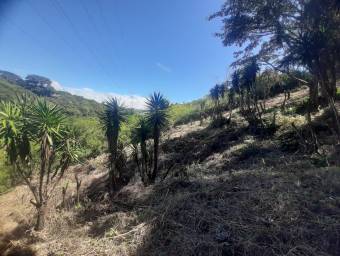 Venta de Lote en Santo Domingo-San Miguel. 