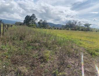 LOTE USO MIXTO CARTAGO CALLE CONCAVAS PARA DESARROLLO COMERCIAL O RESIDENCIAL