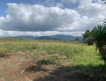 LOTE USO MIXTO CARTAGO CALLE CONCAVAS PARA DESARROLLO COMERCIAL O RESIDENCIAL