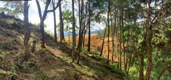 Se vende propiedad en Excelente ubicación ,Beautiful Property For sale