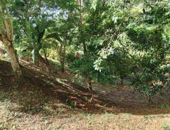 Venta de Terreno en San Miguel - Cerca de Atractivos Turísticos  Land for sale in San Miguel - Close