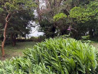 Venta de Lote Uso de Suelo Mixto en San Isidro-Concepción, Heredia. RAH 26-1838