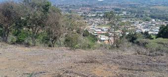 Gran terreno para desarrollo de camping o glamping entre otros