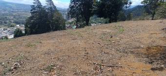 Gran terreno para desarrollo de camping o glamping entre otros