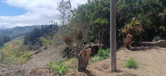 Gran terreno para desarrollo de camping o glamping entre otros