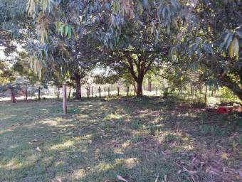 Venta de Lote en Nicoya, Guanacaste. RAH 26-350 PRECIO REBAJADO