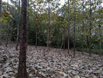 Venta de Lote en Nicoya, Guanacaste. RAH 26-350 PRECIO REBAJADO