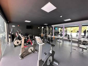 Alquiler de Apartamento en Rohrmoser, San José.