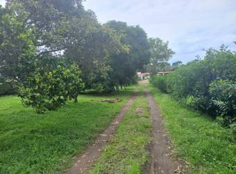 Hermosa propiedad con uso agrícola y bella casa en venta en Barva-Heredia 26-1227