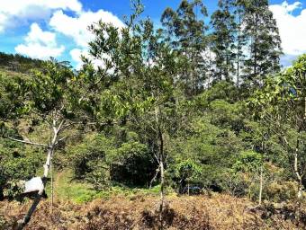 Venta de Lote en El Guarco-San Isidro. RAH 26-1829