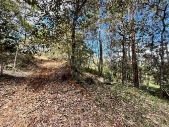 Venta de Lote en El Guarco-San Isidro. RAH 26-1829