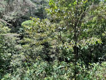 Venta de Lote en El Guarco-San Isidro. RAH 26-1829