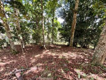 Venta de Lote en El Guarco-San Isidro. RAH 26-1829