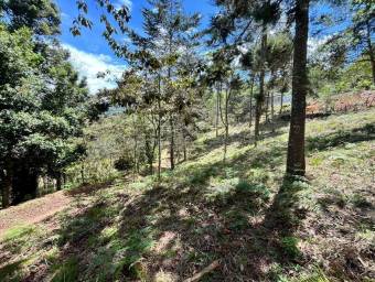 Venta de Lote en El Guarco-San Isidro. RAH 26-1829