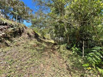 Venta de Lote en El Guarco-San Isidro. RAH 26-1829