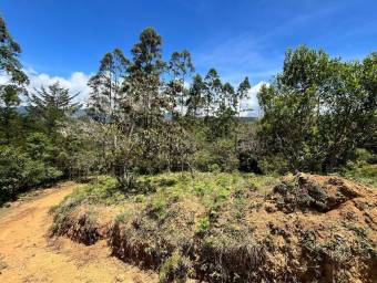 Venta de Lote en El Guarco-San Isidro. RAH 26-1829