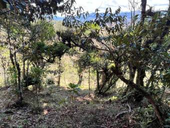 Venta de Lote en El Guarco-San Isidro. RAH 26-1829