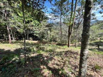Venta de Lote en El Guarco-San Isidro. RAH 26-1829