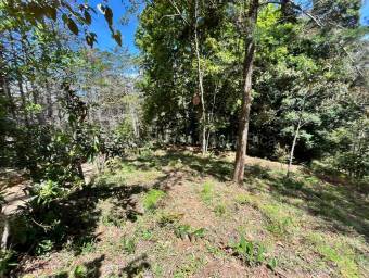 Venta de Lote en El Guarco-San Isidro. RAH 26-1829