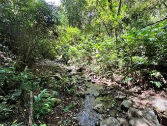 Venta de Lote en El Guarco-San Isidro. RAH 26-1829