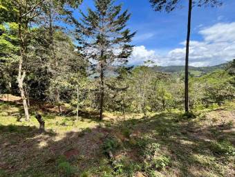 Venta de Lote en El Guarco-San Isidro. RAH 26-1829