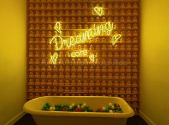 Apartamento en Alquiler en Secrt Sabana, Mata Redonda 