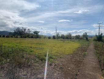 Terreno de alto crecimiento con uso mixto ideal para desarrollo en Cartago #26-1831 GS Terreno de alto crecimiento con uso mixto ideal para desarrollo en Cartago #26-1831 GS