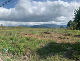 Terreno de alto crecimiento con uso mixto ideal para desarrollo en Cartago #26-1831 GS Terreno de alto crecimiento con uso mixto ideal para desarrollo en Cartago #26-1831 GS