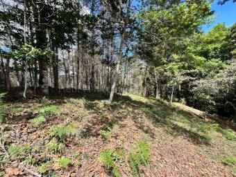 Finca de montaña con quebrada natural y alto potencial en El Guarco Cartago #26-1829 GS