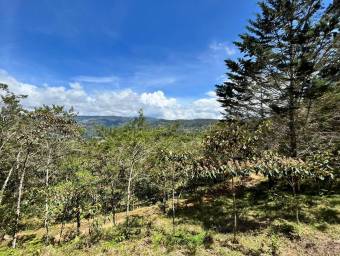 Finca de montaña con quebrada natural y alto potencial en El Guarco Cartago #26-1829 GS