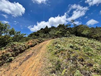 Finca de montaña con quebrada natural y alto potencial en El Guarco Cartago #26-1829 GS