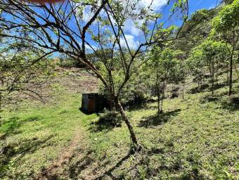 Finca de montaña con quebrada natural y alto potencial en El Guarco Cartago #26-1829 GS