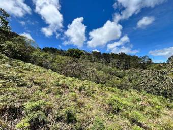 Finca de montaña con quebrada natural y alto potencial en El Guarco Cartago #26-1829 GS