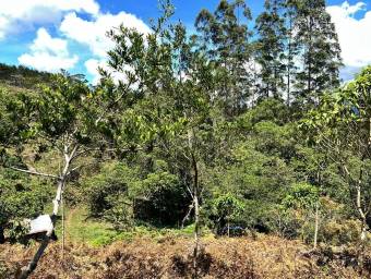 Finca de montaña con quebrada natural y alto potencial en El Guarco Cartago #26-1829 GS