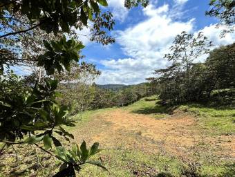 Finca de montaña con quebrada natural y alto potencial en El Guarco Cartago #26-1829 GS