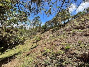 Finca de montaña con quebrada natural y alto potencial en El Guarco Cartago #26-1829 GS