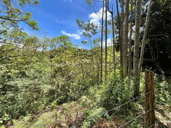 Finca de montaña con quebrada natural y alto potencial en El Guarco Cartago #26-1829 GS