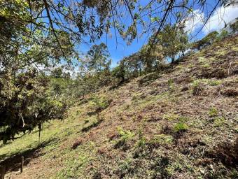 Venta de Lote en El Guarco-San Isidro. RAH 26-1829 PRECIO REBAJADO