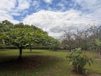 Finca con casa y rancho ideal para inversión en Florencia cerca de La Fortuna #26-1826 GS