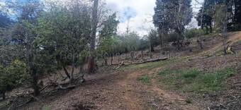 Venta terreno de montaña con vistas y alto potencial turístico 26-1797 GS