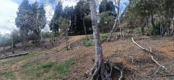 Venta terreno de montaña con vistas y alto potencial turístico 26-1797 GS