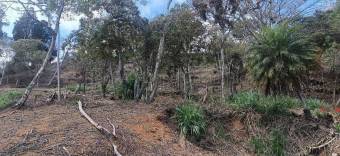 Venta terreno de montaña con vistas y alto potencial turístico 26-1797 GS