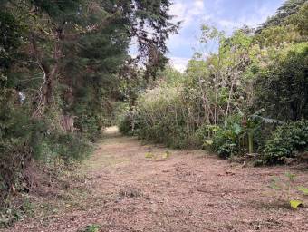 Se vende lote en Concepcion #26-1838