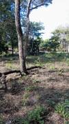 VENTA DE LOTE EN CARRILLO GUANACASTE