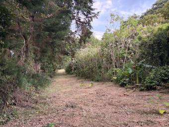 Venta de Lote en San Isidro-Concepción, Heredia. RAH 26-1838