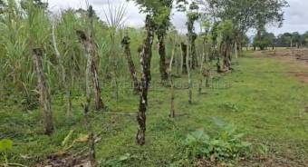 Venta de Lote en San Carlos-Florencia, Alajuela. RAH 26-1839